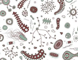 Diagnosis of parasites in the body