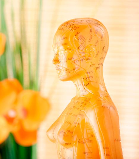 Naturopath-what-do-they-do
